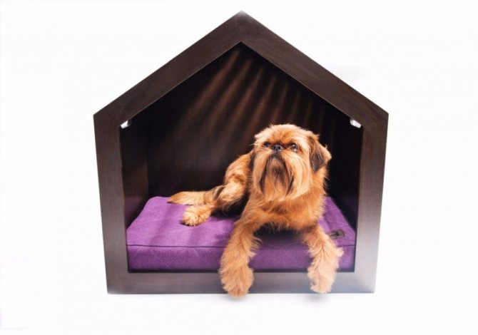 Удобная будка для квартирной собаки